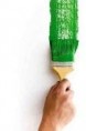 /album/fotogaleria/green-paint-and-brush-jpg/